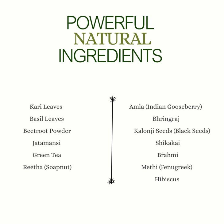 Hair Repair – 100% Organic Herbal Hair Pack - Image 5